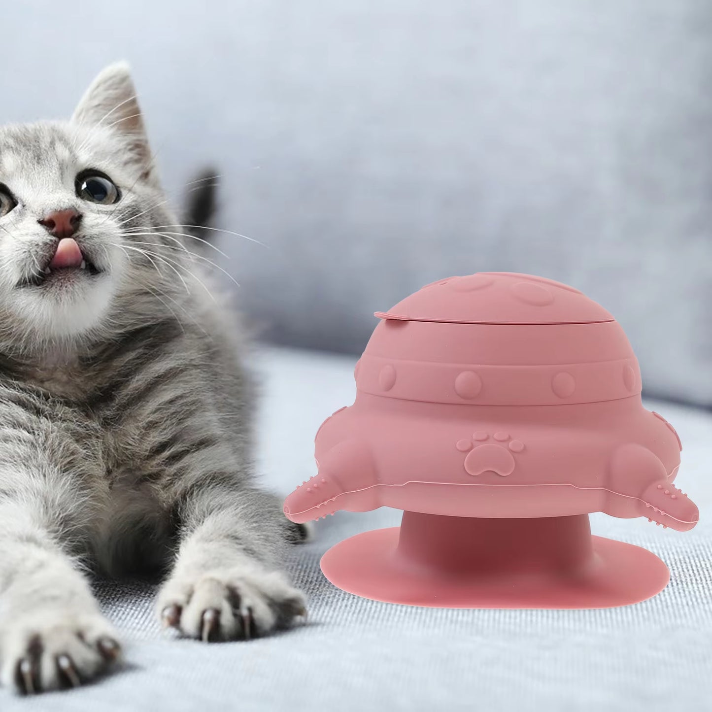 Kitten Nursing Bottles Silicone